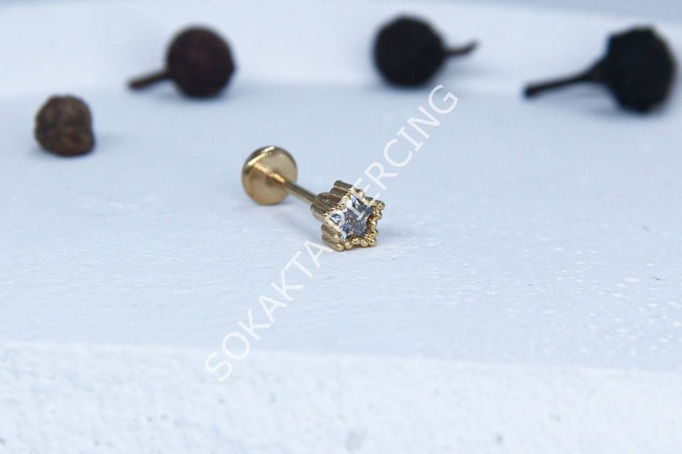 C37 - TRAGUS