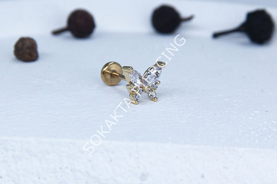 C38 - TRAGUS