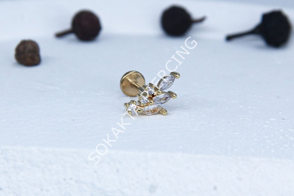 C40 - TRAGUS