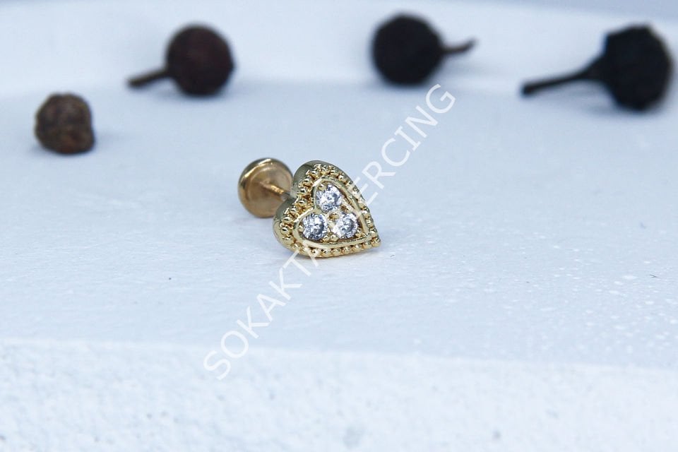 C49 - TRAGUS