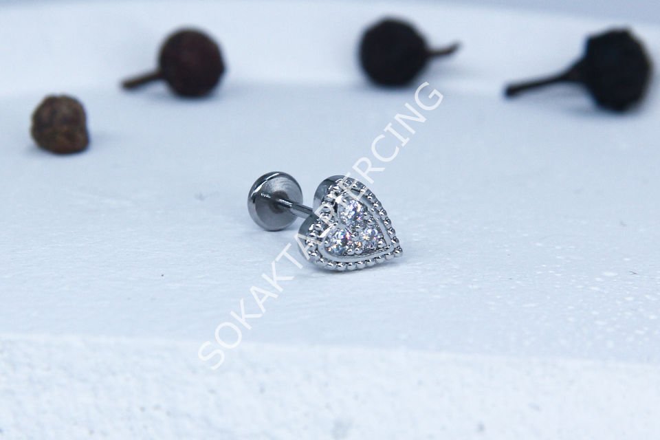 C49 - TRAGUS