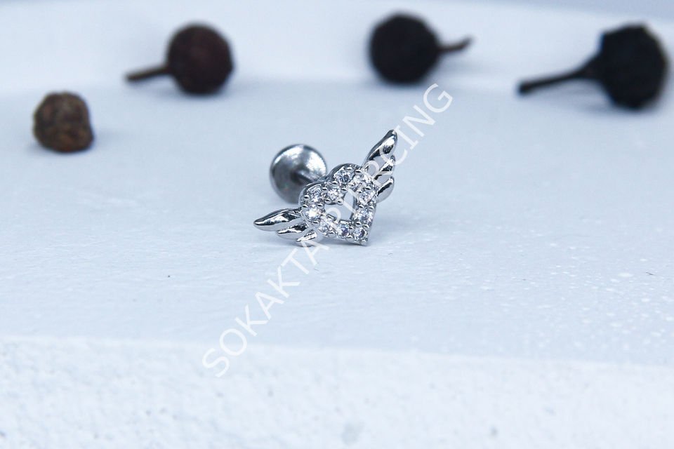 C53 - TRAGUS