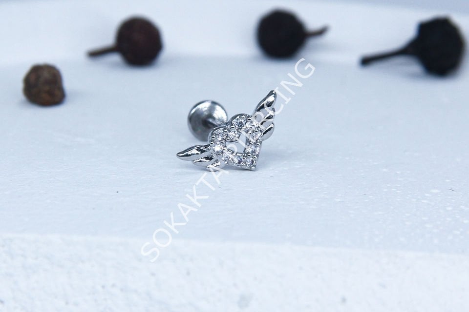 C53 - TRAGUS