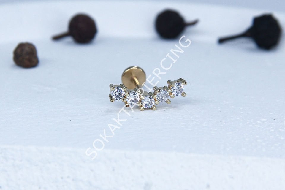 C44 - TRAGUS