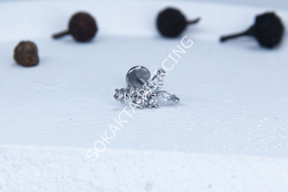 C34 - TRAGUS