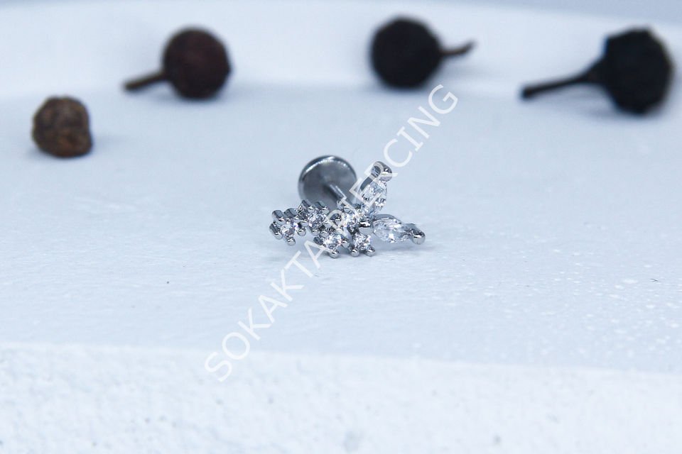 C34 - TRAGUS
