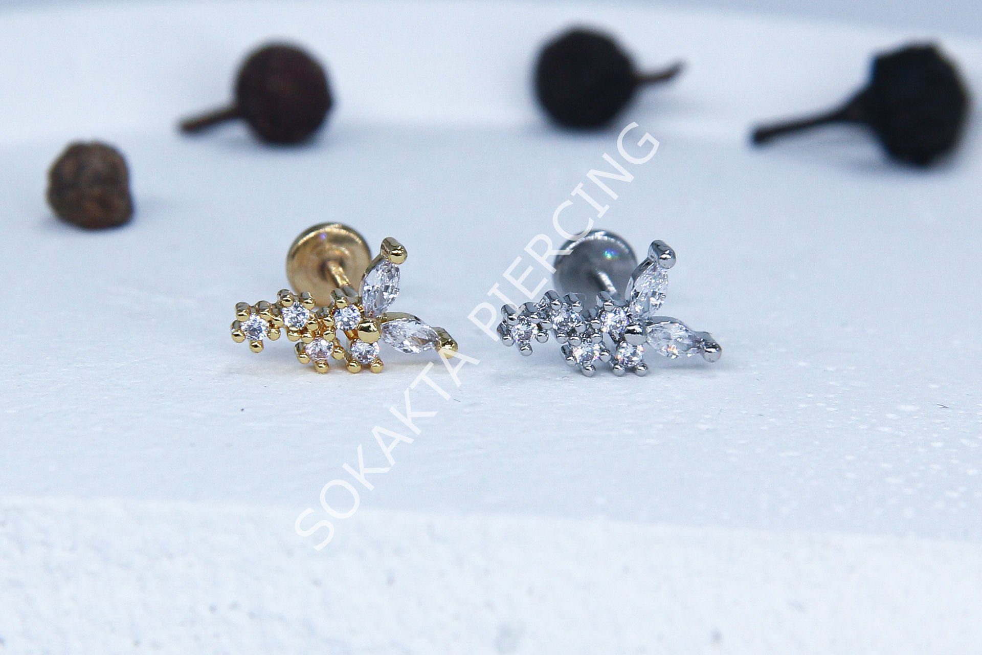 C34 - TRAGUS