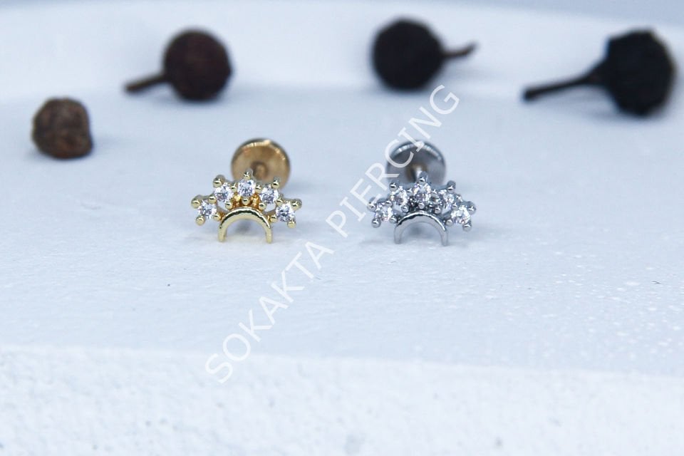 C52 - TRAGUS