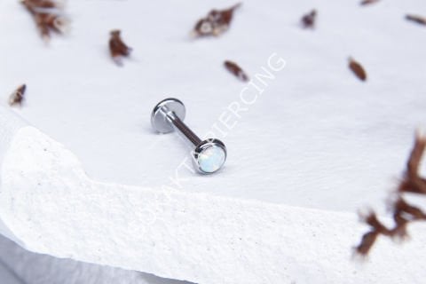 C25-28 - TRAGUS