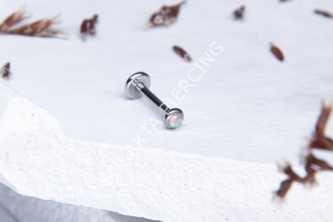 C25-28 - TRAGUS