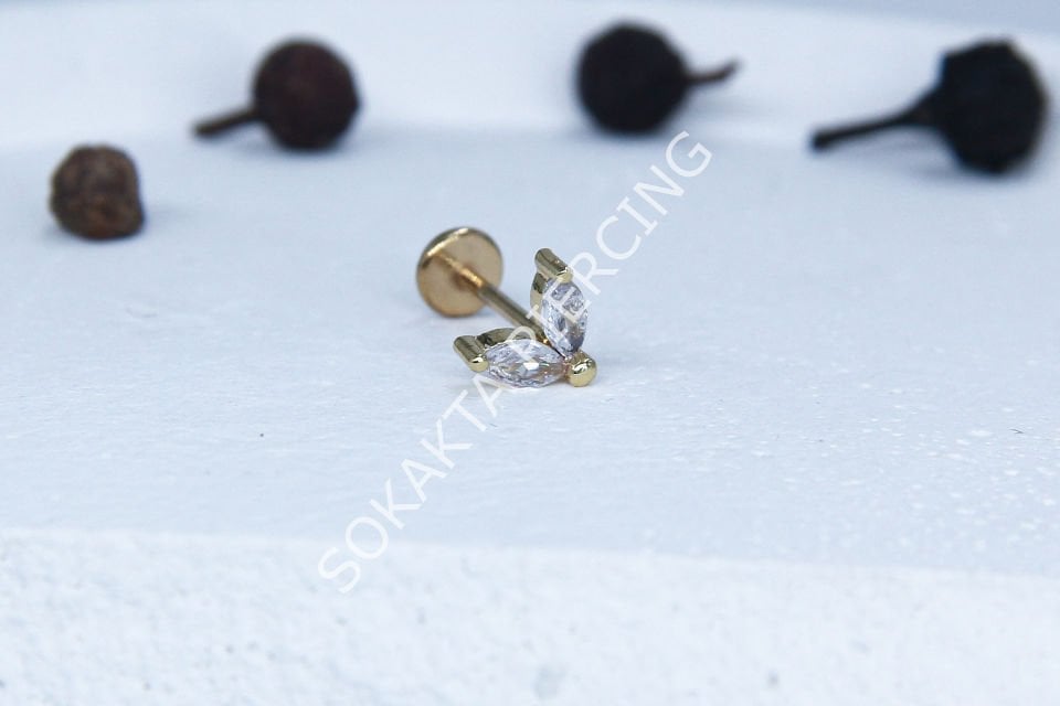 C51 - TRAGUS
