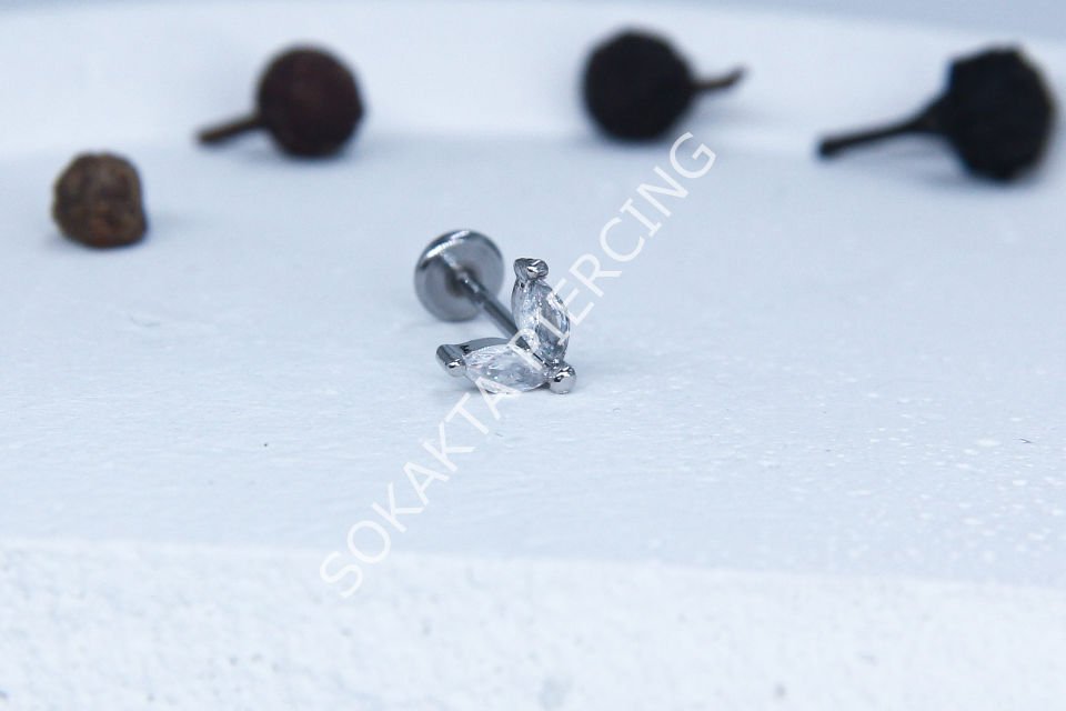 C51 - TRAGUS