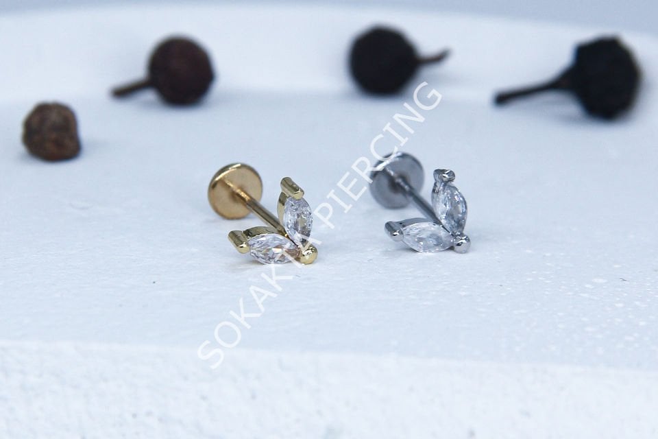 C51 - TRAGUS