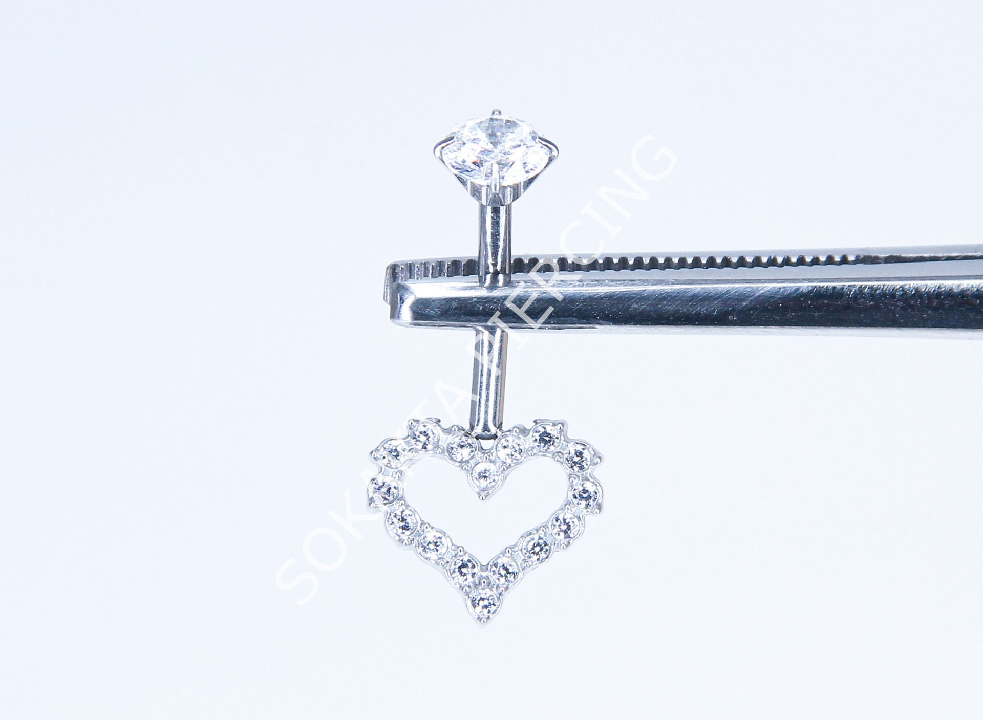 F255 - TITANIUM GÖBEK