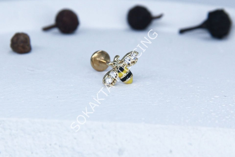 C32 - TRAGUS