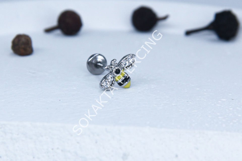 C32 - TRAGUS