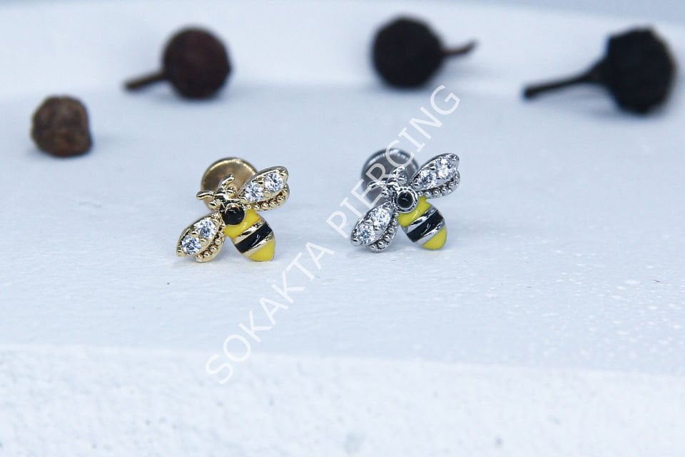 C32 - TRAGUS