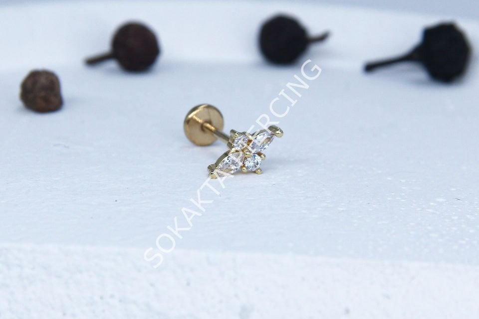 C33 - TRAGUS