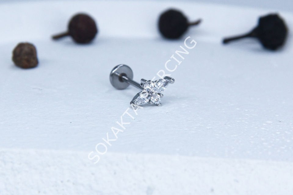 C33 - TRAGUS