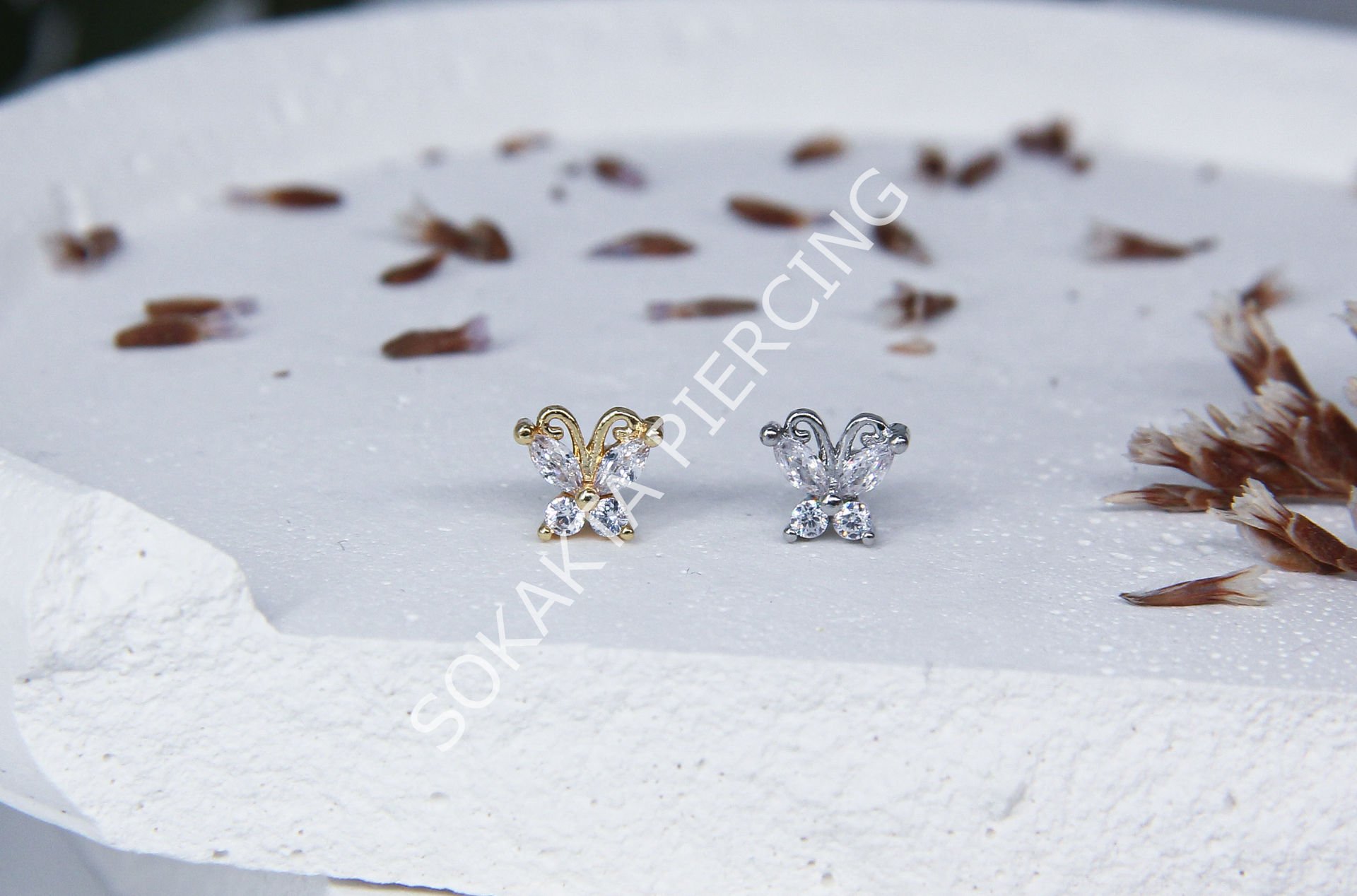 A1 - TRAGUS