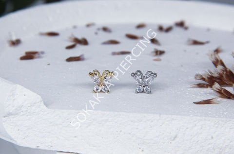 A1 - TRAGUS
