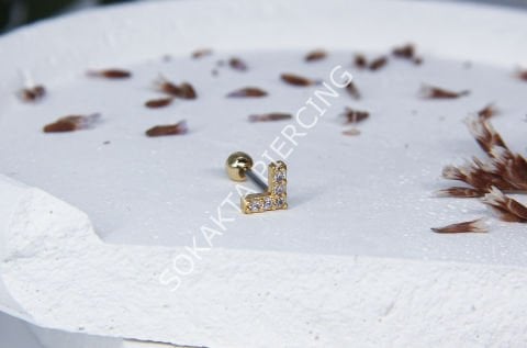 A102 - TRAGUS Silver