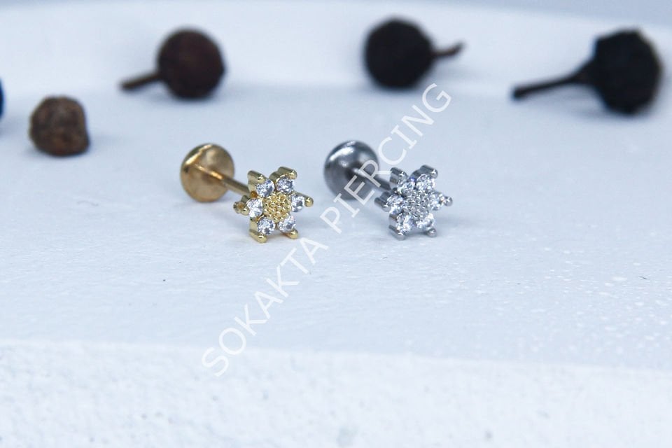 C56 - TRAGUS