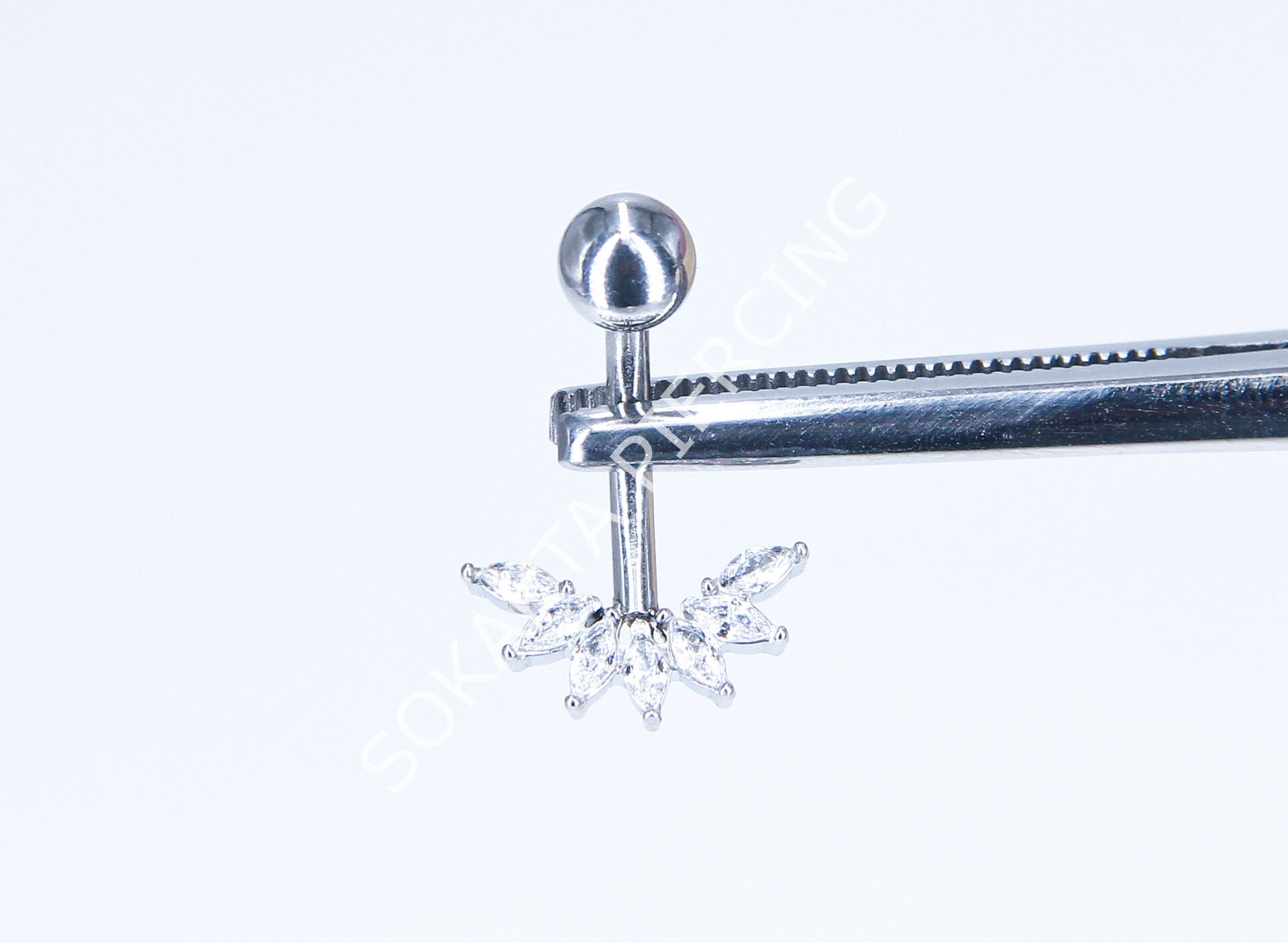 F250 - TITANIUM GÖBEK