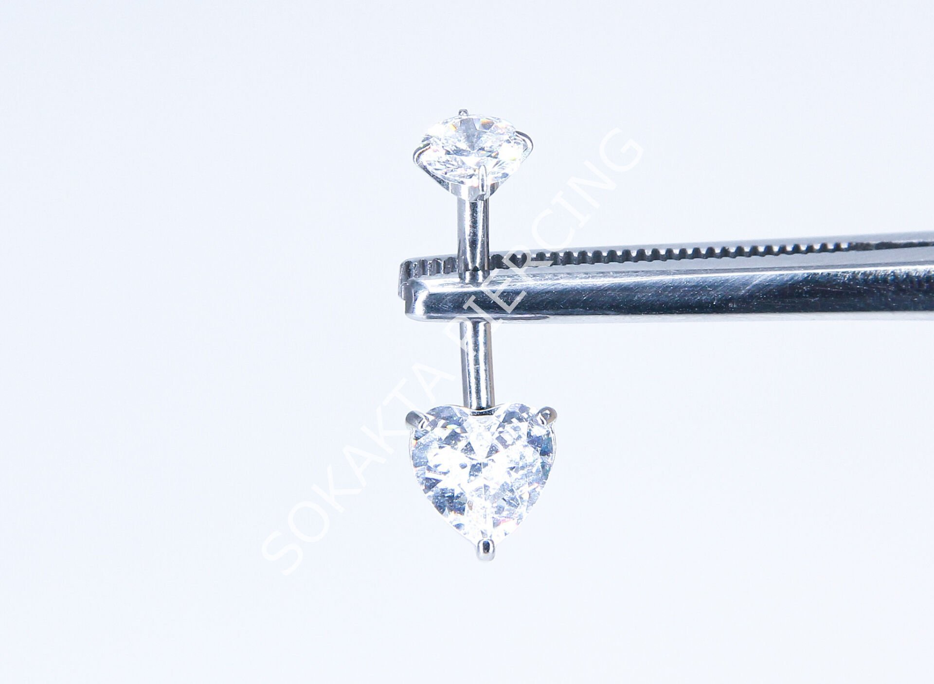 F278 - TITANIUM GÖBEK