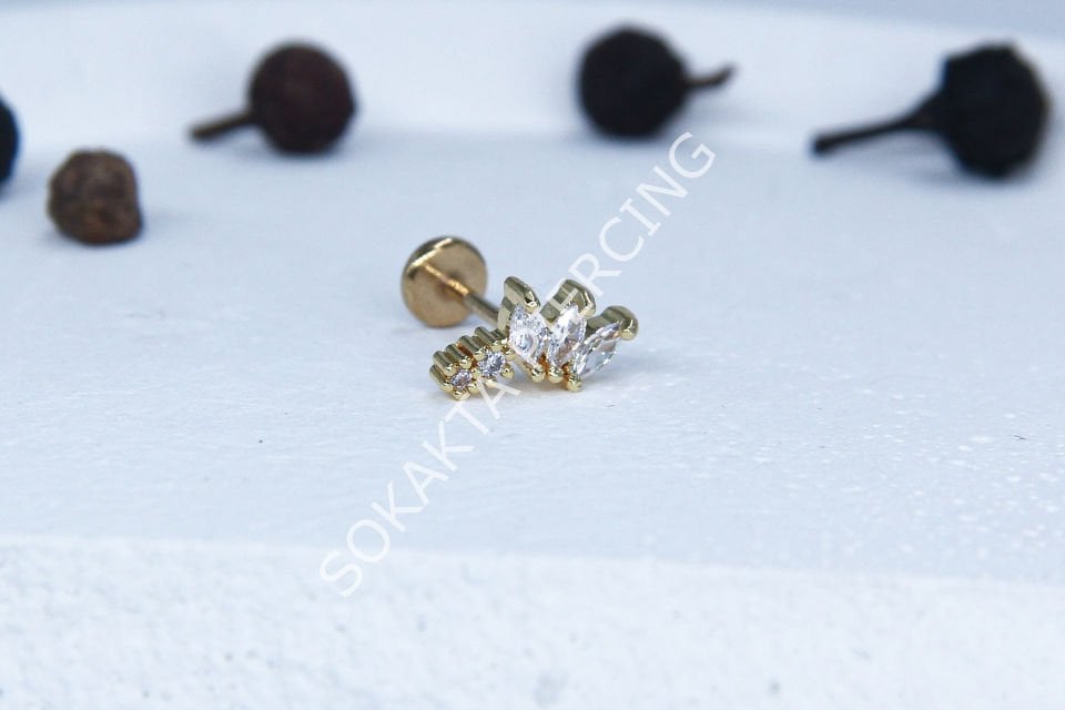 C54 - TRAGUS