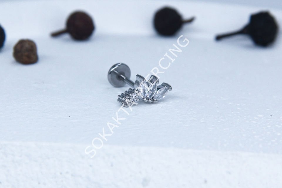 C54 - TRAGUS