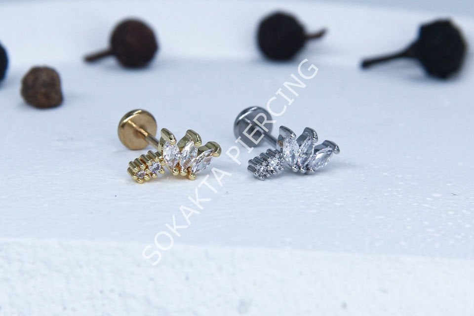 C54 - TRAGUS