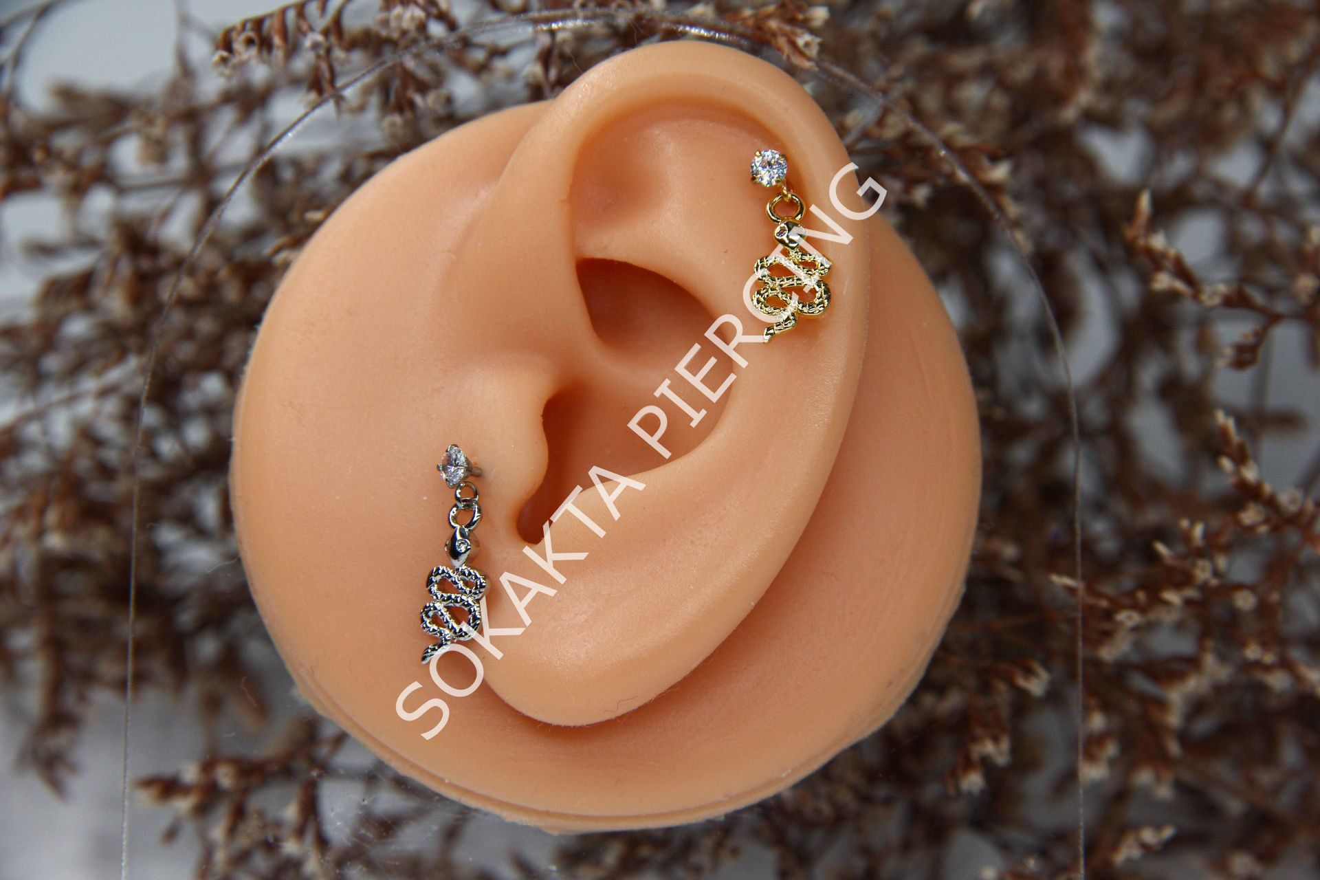 C10 - SALLANTILI TRAGUS - HELIX Silver