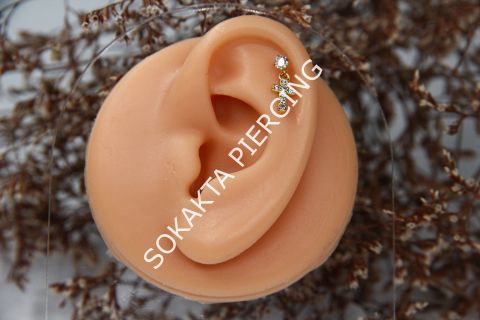 C8 - SALLANTILI TRAGUS - HELIX Gold