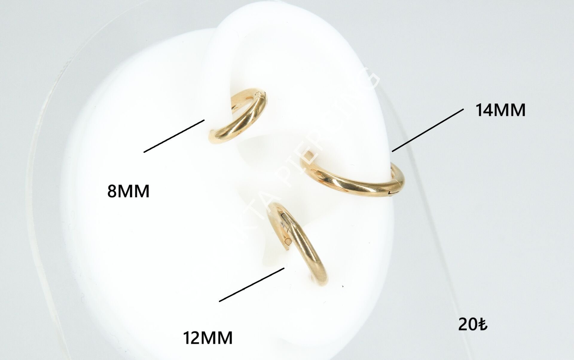 CONCH 8 mm