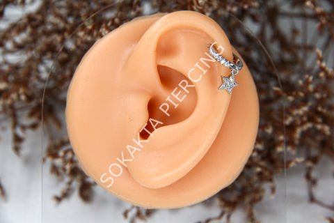 E274 - SALLANTILI TRAGUS - HALKA