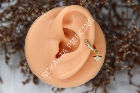 E274 - SALLANTILI TRAGUS - HALKA